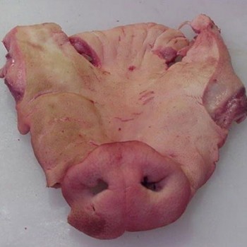 Frozen Pork Snout